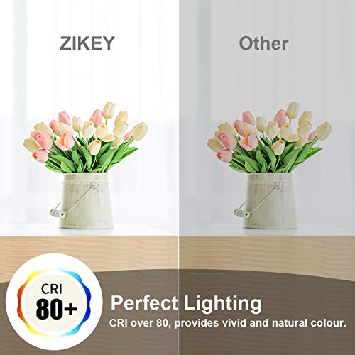 ZIKEY Bombilla LED E27, 6W (equivalente a 50W), G45 Mini Globo bombilla Blanco Cálido 3000K 600lm No regulable - 6 unidades