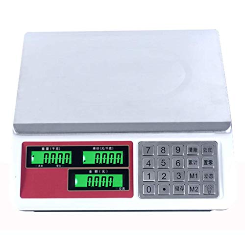 ZJZ Nueva báscula electrónica de Alta precisión para cómputo de Precios, Escala de Plataforma Digital de Acero Inoxidable de 30 kg de Capacidad para Frutas de Cocina