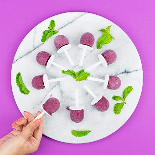 Zoku ZK115 - Molde para Helados