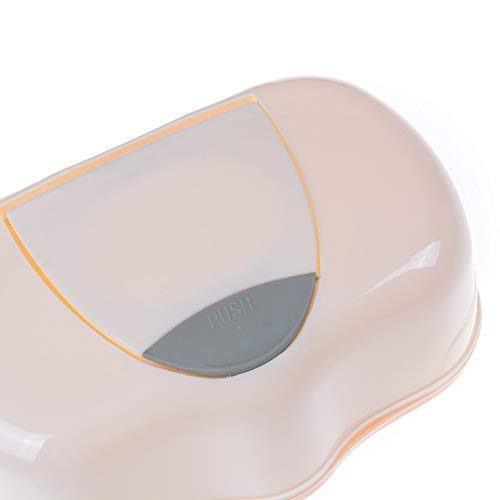 Zoo-yil Lqp-ZJH Wet Wipes Caja de plástico Tejido húmedo toallitas Caja automática Caja de Pop-up Diseño de Tejidos Caso 200 * 120 * 80mm (Color : B)