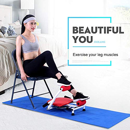 ZY Entrenamiento Abdominal Formadores de Cuerpo Completo Equipo de Ejercicio Portátil Ejercicio de la Gimnasia Multifuncional Junta supino Sistema Dispositivo de Asistencia for el hogar LOLDF1