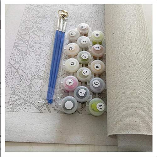 ZYCD Kit de Pintura al óleo DIY Kits de Pintura por números para niños y Adultos Gustav Klim Danae Klimt