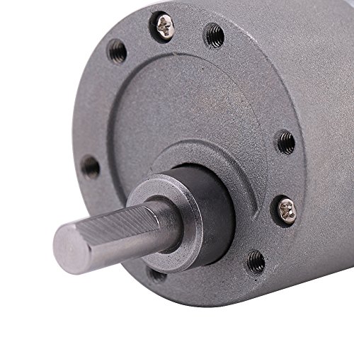 12V 24V Motor Eléctrico de Grande Esfuerzo de Torsión de DC 15W de Velocidad Lenta y Poco Ruido con Engranaje(12V 100r/min)