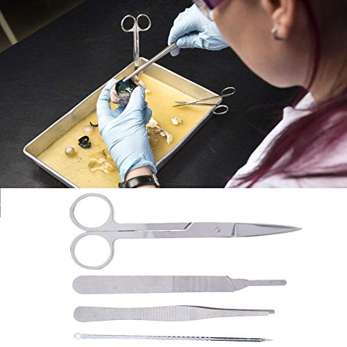 4Pcs Pinzas de Disección Tijeras Cuchillo de Aguja Kits de Disección de Laboratorio Fabricación de Muestras Biológicas Estudiantes Herramientas de Disector de Laboratorio en el Aula(J2708 4Pcs Set)