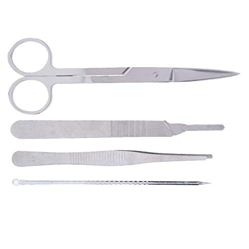 4Pcs Pinzas de Disección Tijeras Cuchillo de Aguja Kits de Disección de Laboratorio Fabricación de Muestras Biológicas Estudiantes Herramientas de Disector de Laboratorio en el Aula(J2708 4Pcs Set)