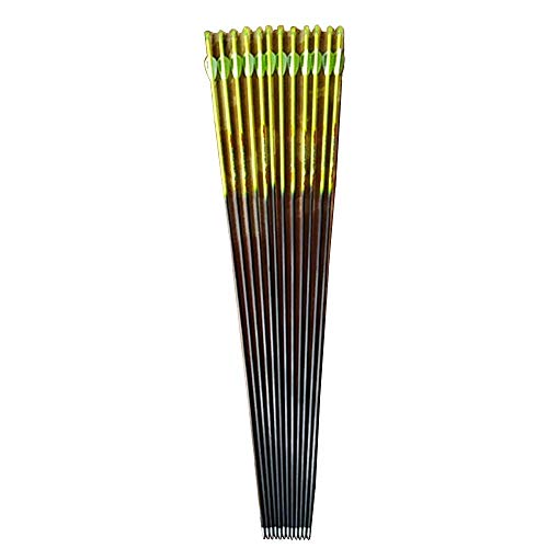 ACCMOS Tiro al Arco Eje de Flecha de Carbono Puro de 31Pulgadas Espinazo 400 500 600 700 800 900 1000 ID 4,2 mm para Arco Compuesto Arcos Recurvos Caza Disparo (12pcs, Spine 400)
