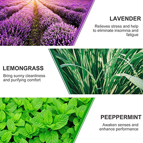 Aceites Esenciales,Aceites Esenciales Para Humidificador,Essential Oils Set,Natural Puro Aceite Esencial Lavanda,Eucalipto,Arbol del te,Lemongrass,Naranja Dulce,Menta para Aromaterapia