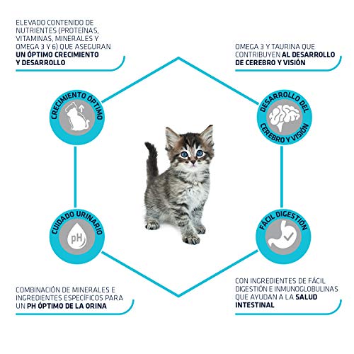 ADVANCE Cibo per Gatti Kitten Pollo e Riso - 10kg