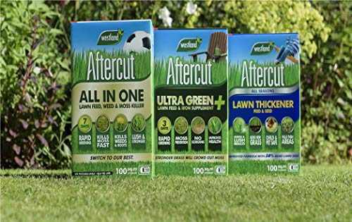 Aftercut Suplemento de Hierro y alimentación para césped, Natural, 100 sq m, 3.5 kg
