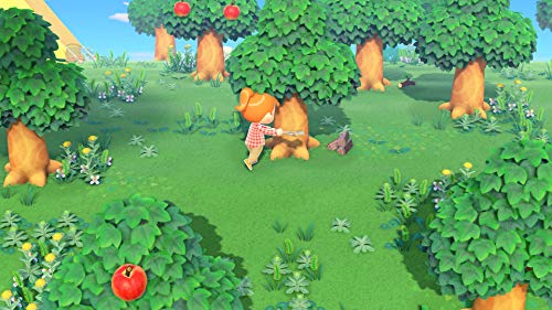Animal Crossing : New Horizons - Nintendo Switch [Importación francesa]