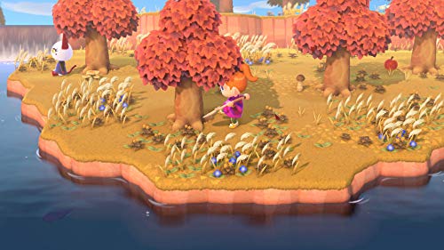 Animal Crossing : New Horizons - Nintendo Switch [Importación francesa]