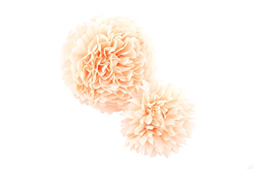 Anokay Set 8 Pompones Bolas Hermosas de Flores de Color Blanco Rosa Almendra Champán - Flores de Papel para la Decoración de Cumpleaños Bodas Navidad Bautizo Jardín Baby Shower Butizar Fiesta
