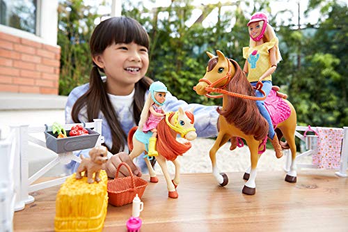 Barbie Muñecas Barbie y Chelsea con caballos y accesorios, regalo para niñas y niños 3-9 años (Mattel FXH15)