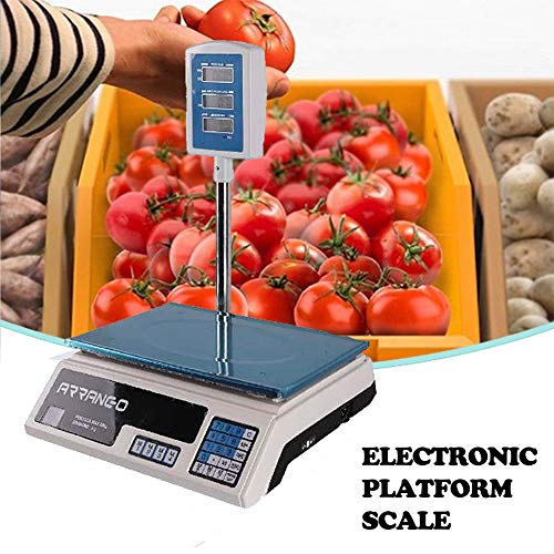 Báscula eléctrica profesional de banco digital, 40 kg, doble pantalla, tubo
