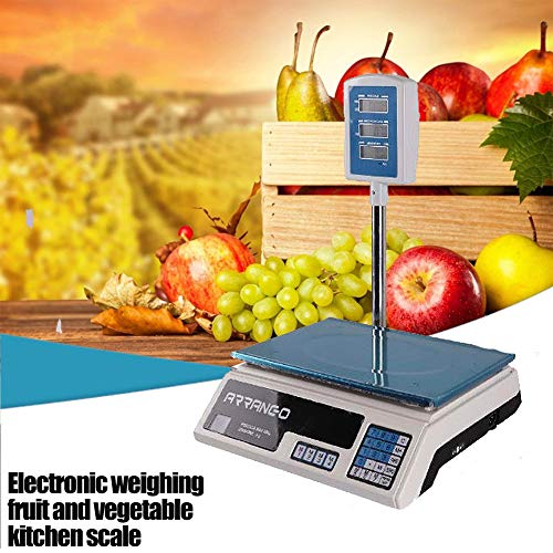 Báscula eléctrica profesional de banco digital, 40 kg, doble pantalla, tubo