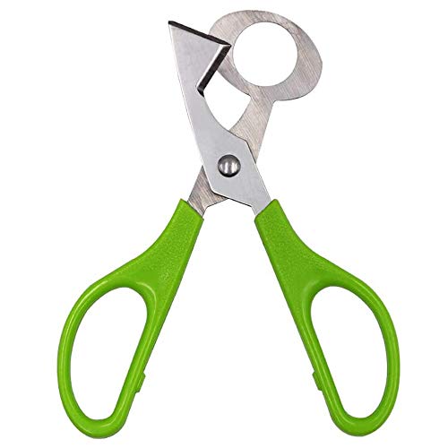 Beau 2 Piezas Tijeras Huevo Cortador, Tijeras Huevos de Codorniz, Tijeras de Cáscara de Huevo de Codorniz de Acero Inoxidable, para Cortar Huevos, Huevos de Codorniz y Otros Huevos