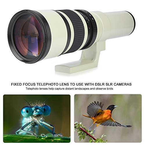 Bewinner Teleobjetivo Profesional 500mm F6.3 Teleobjetivo Foco Fijo Teleobjetivo para cámaras réflex DSLR Blanco(con Adaptador T2-EOS para Canon)