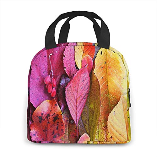Bolsa Térmica Almuerzo Impermeable Fiambrera Isotermica, Bolsa Almuerzo Bolsa Comida Hombres, Mujeres y Niños Hojas De Otoño Paleta De Colores Arco Iris