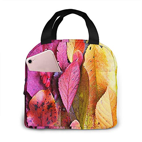 Bolsa Térmica Almuerzo Impermeable Fiambrera Isotermica, Bolsa Almuerzo Bolsa Comida Hombres, Mujeres y Niños Hojas De Otoño Paleta De Colores Arco Iris