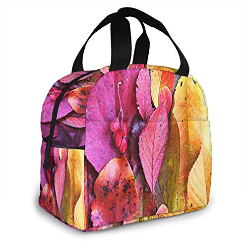 Bolsa Térmica Almuerzo Impermeable Fiambrera Isotermica, Bolsa Almuerzo Bolsa Comida Hombres, Mujeres y Niños Hojas De Otoño Paleta De Colores Arco Iris