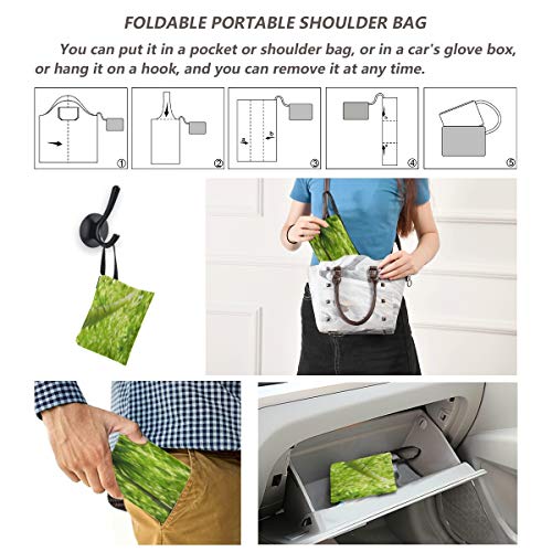 Bolso de mano diario Bolso de hombro de lona de hojas verdes de bosque de bambú para hombre Bolsos de mano Bolsos de compras reutilizables de poliéster, lavables, duraderos y ligeros