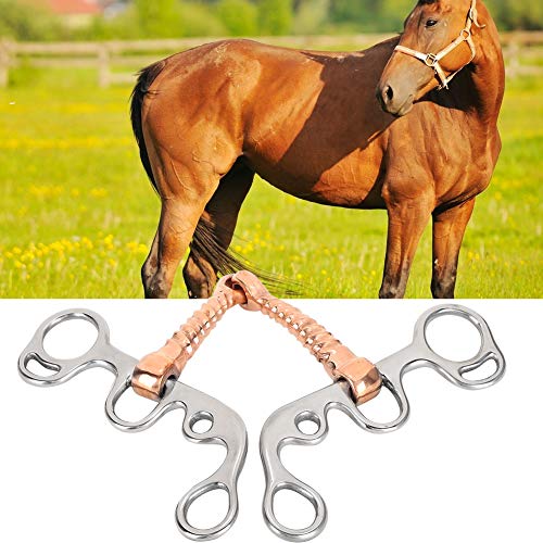 Brocas de Caballo Roscadas de Acero Inoxidable Suministros de Varilla de Cobre de Entrenamiento