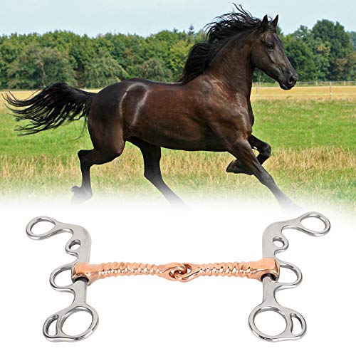 Brocas de Caballo Roscadas de Acero Inoxidable Suministros de Varilla de Cobre de Entrenamiento