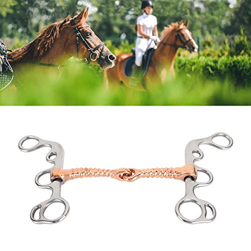 Brocas de Caballo Roscadas de Acero Inoxidable Suministros de Varilla de Cobre de Entrenamiento