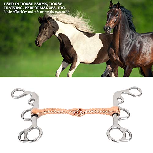 Brocas de Caballo Roscadas de Acero Inoxidable Suministros de Varilla de Cobre de Entrenamiento