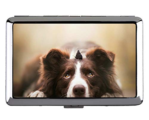 Caja Dura y Soporte para Cigarrillos, Titular de la Tarjeta de Acero Inoxidable Border Collie Animal (tamaño King)