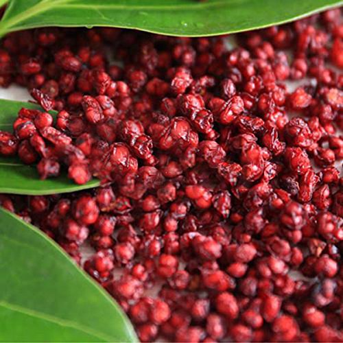 CER0T Semillas Egrow 100 piezas/paquete Schisandra china Magnolia Vine comestible de semillas del árbol frutal Jardín Plantas de bricolaje