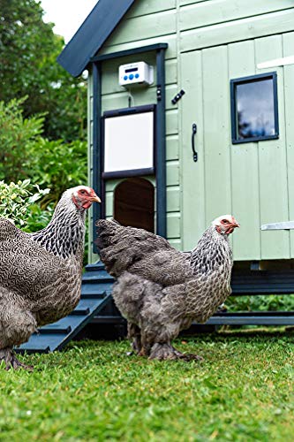 ChickenGuard ® Extreme - Sistema de Apertura Automática para Puerta de Gallineros