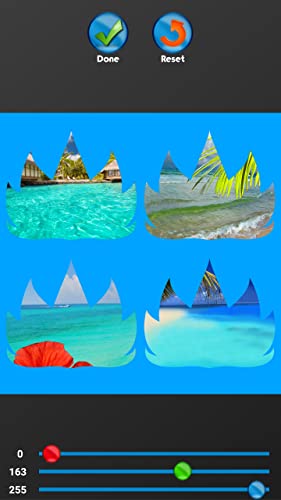 Collage de fotos tropicales