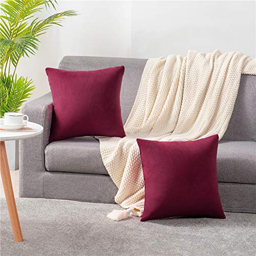 DEZENE Fundas de Cojín Rojo Vino 40x40cm: Paquete de 2 Fundas de Almohada Decorativas Cuadradas de Terciopelo Suave Sólido para sofá de Granja