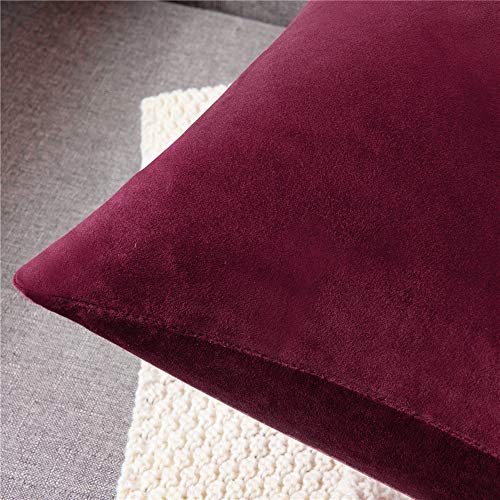 DEZENE Fundas de Cojín Rojo Vino 40x40cm: Paquete de 2 Fundas de Almohada Decorativas Cuadradas de Terciopelo Suave Sólido para sofá de Granja