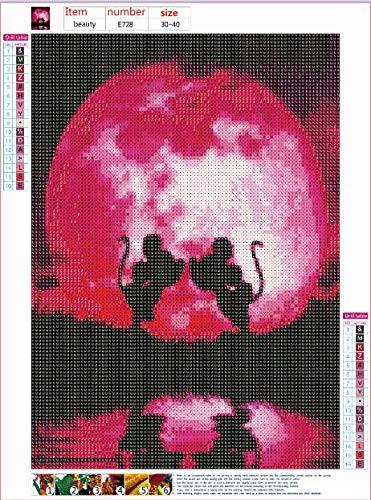DIY 5D Diamante Pintura Kits,Diamond Painting Full Drill,Crystal Rhinestone bordado fotos arte Craft para la decoración del hogar,dos Mickey Mouse besándose bajo la luna (30cm * 40cm)