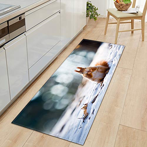 DREAMING-Sofá De Cocina, Armario, Zapatero, Alfombra De Tira Larga, Alfombra Antideslizante para Baño, Alfombra para El Hogar 40 * 120cm