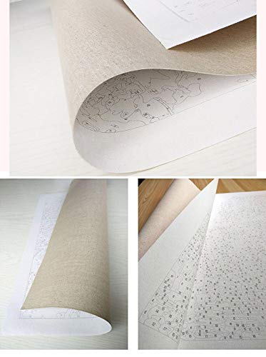 empty Pintura por número Pez Luna Preimpreso al óleo Pintura Adultos Niños para DIY Pintura por números con Pinceles y Pinturas Decoraciones para el Hogar 40x50cm(Sin Marco)