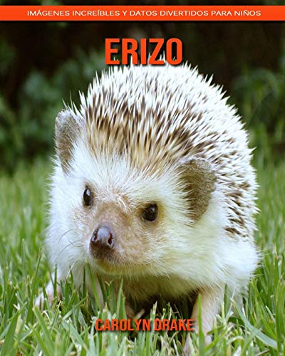 Erizo: Imágenes increíbles y datos divertidos para niños