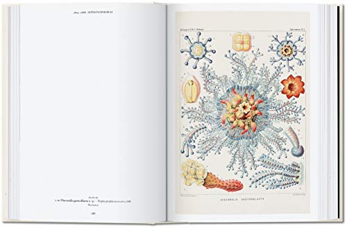 Ernst Haeckel – 40Th Anniversary Edition