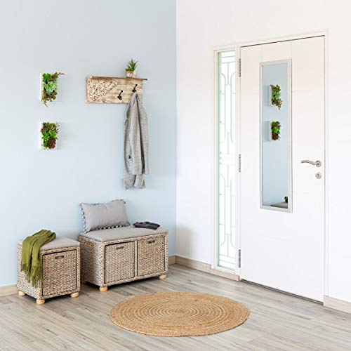 Espejo de Puerta Plateado Moderno de plástico de 35 x 125 cm - LOLAhome