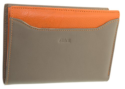 ESTUCHE CARTERA DE MUJER CUERO + PINZA BILLETES + LUPA + CAJA REGALO - NAVIDAD - FÊTE MADRES - ANIVERSARIO - FOLIOS Y MONEDAS - COLORES A ELEGIR - Gris Pardo, 2.00