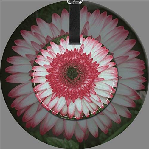 Etiquetas para Equipaje Bolso ID Tag Viaje Bolso De La Maleta Identifier Las Etiquetas Maletas Viaje Luggage ID Tag para Maletas Equipaje Margarita de Gerbera Blanca roja