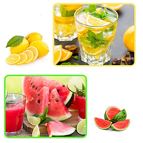 Exprimidores Granadas, Exprimidor Manual de Palanca, Industrial Restaurante Familiar Tienda de Jugos Tienda de Té, Exprimidor De Naranja Cítrica, Base Resistente, Fácil de Limpiar, Alta Calidad