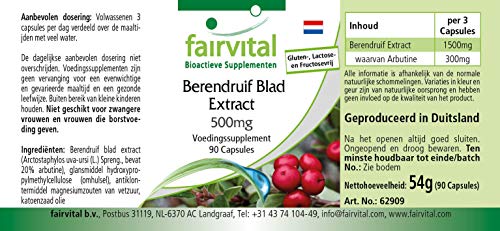 Extracto de Gayuba 500mg - Uva Ursi - Dosis elevada - 20% de Arbutina - VEGANO - 90 Cápsulas - Calidad Alemana