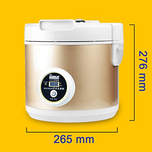 Fermentador de Ajo Negro Máquina eléctrica de fermentación de ajo negro DIY para hogar Caja de fermentación ajo negro automático (5L)