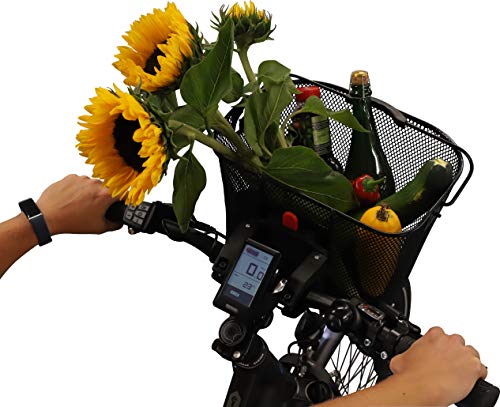 FISCHER E- Bike Korb Cesta para Bicicleta eléctrica, Unisex Adulto, Negro, Normal