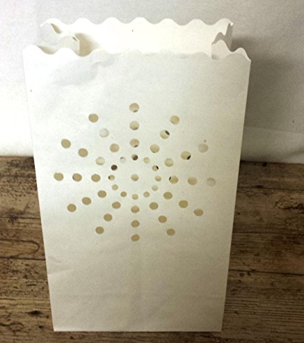 Flores Frescas Online Portavelas de Papel 20 Unidades Portes Gratis