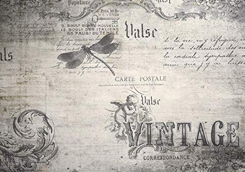 FORWALL moderna – Papel pintado fotográfico decoración de pared vintage amf12565 _ P lema y sprichwörter Papel pintado de cola Incluye., gris, P4 (254cm. x 184cm.)