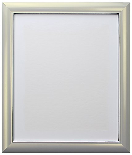 FRAMES BY POST SODASIL5023CM Soda-Marco de Fotos, Plateado, 50 x 23 cm